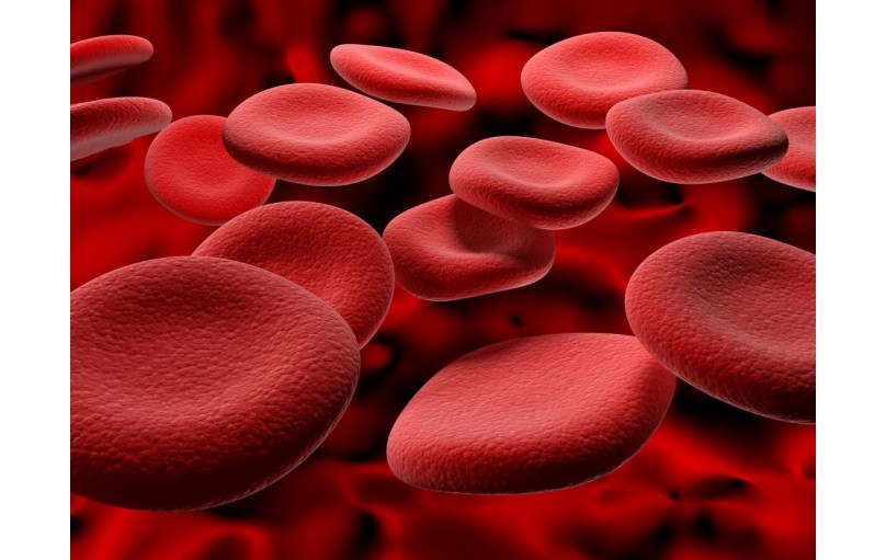 everything about Hemoglobin